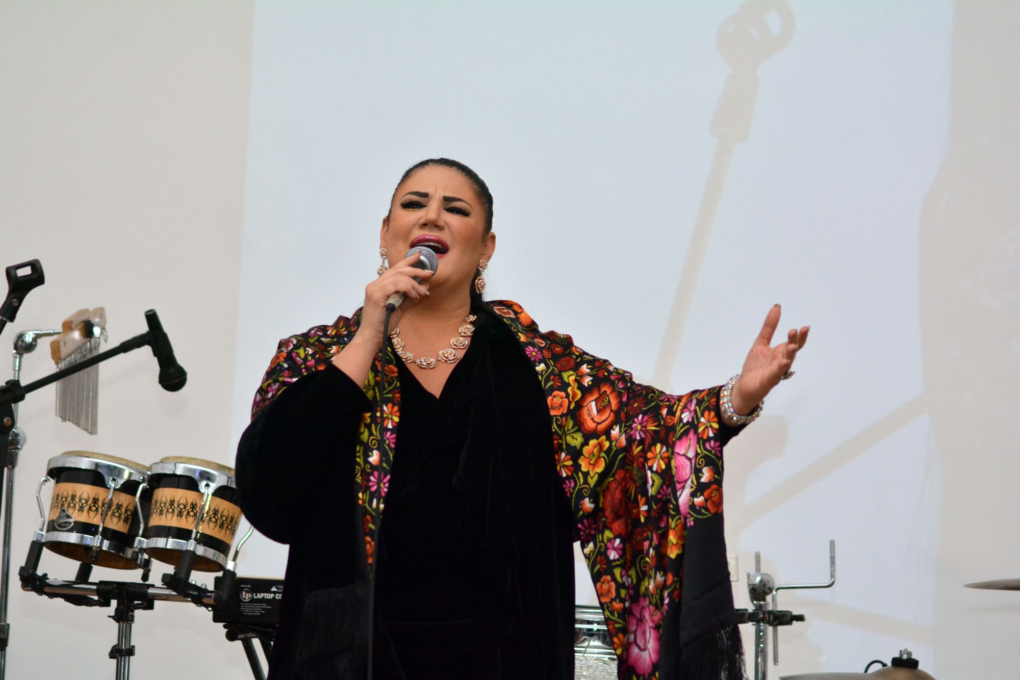 Alejandra Avalos canto con el alma